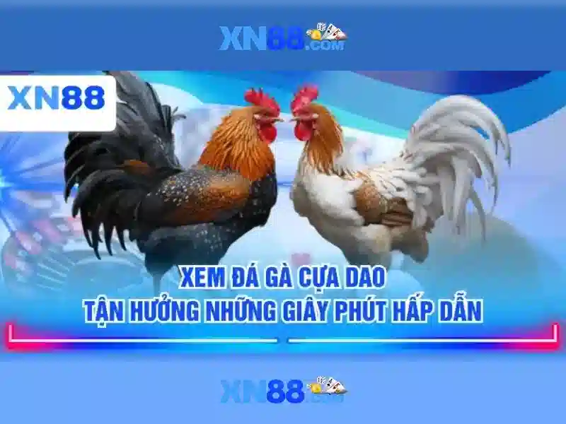 cách chơi xn88: hướng dẫn và công cụ xn88 google play