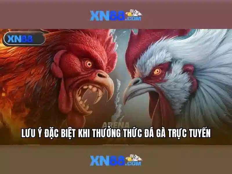 xn88: Nền tảng giải trí trực tuyến và hành trình của nó
