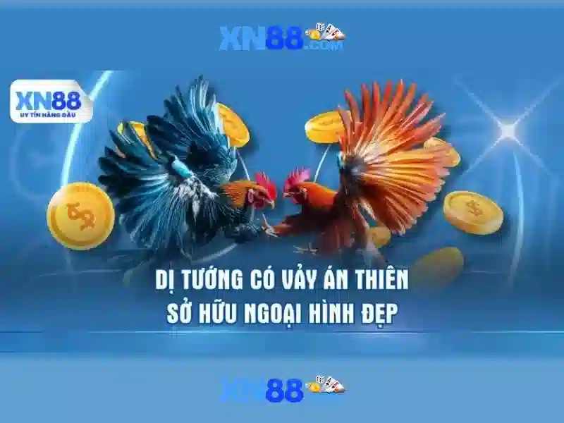 xn88: Nền tảng giải trí trực tuyến và những điều người chơi nên biết