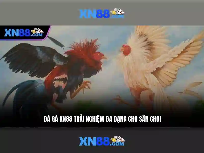 xn88: Giới thiệu nền tảng cá cược trực tuyến
