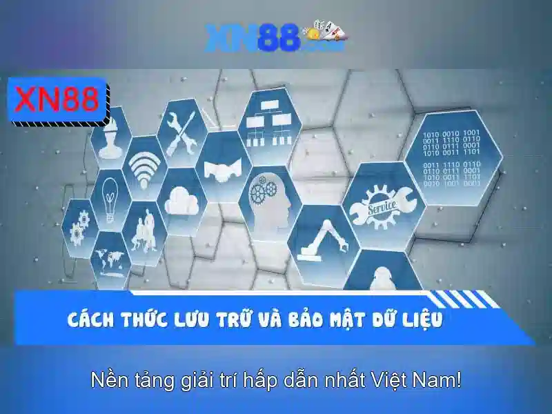 Xn88: Tổng quan và nhận định