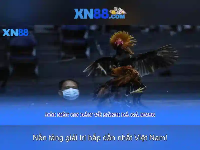 xn88 – Tổng quan về nền tảng chơi game trực tuyến