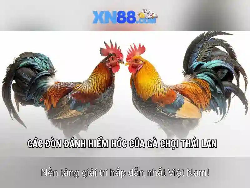 xn88: một hệ sinh thái trực tuyến