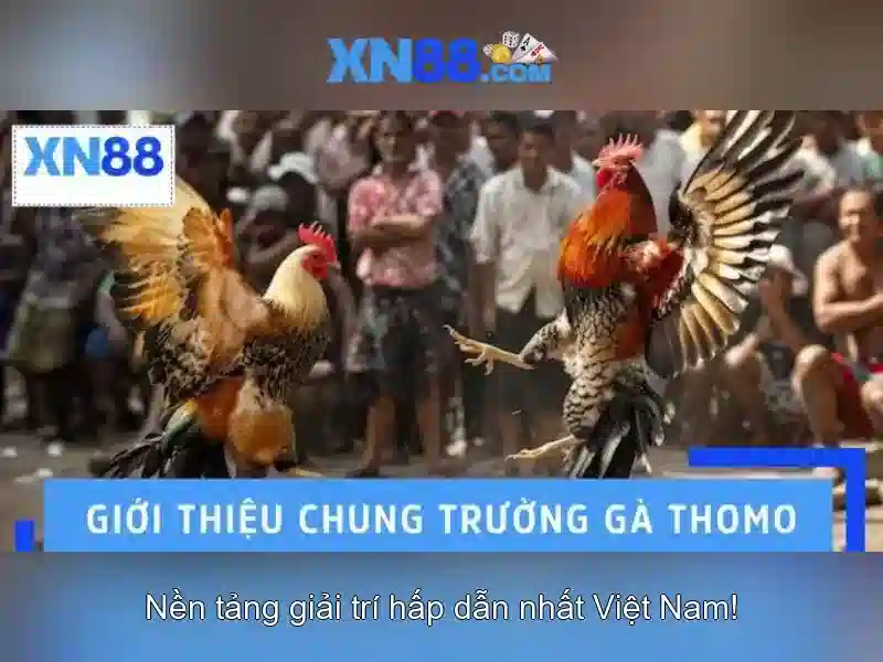 XN88: Nền tảng chơi trực tuyến đáng tin cậy cho người Việt