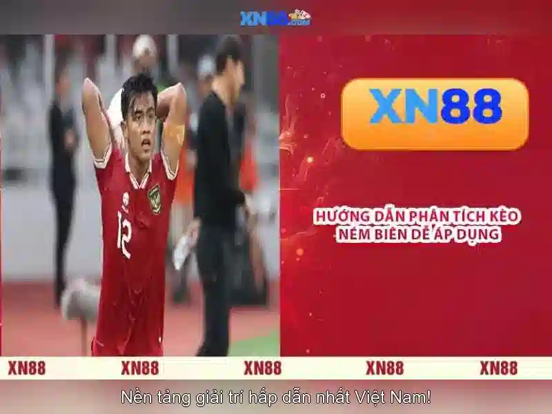XN88: Nền tảng cược trực tuyến phổ biến và an toàn