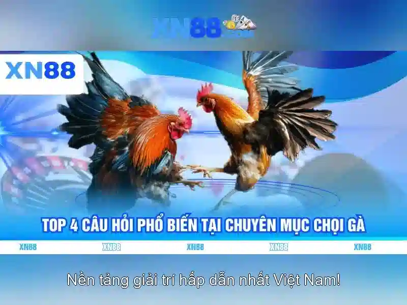 xn88: Nền tảng giải trí trực tuyến và trò chơi đa dạng