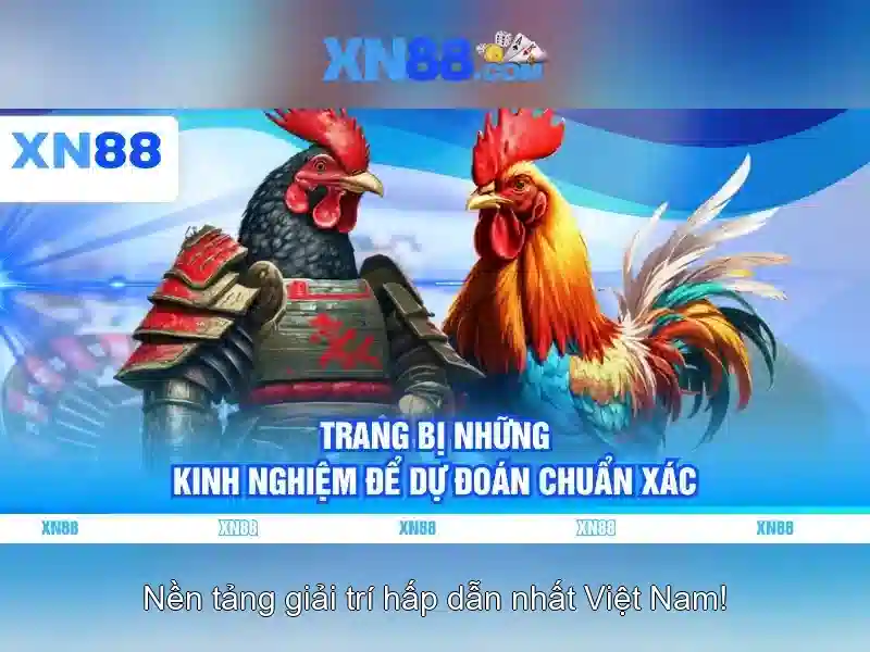 xn88: Khai mạc về nhà cái online và an toàn