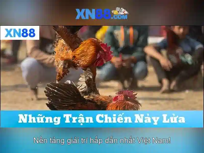 xn88: Tổng quan về nền tảng cược và trò chơi điện tử