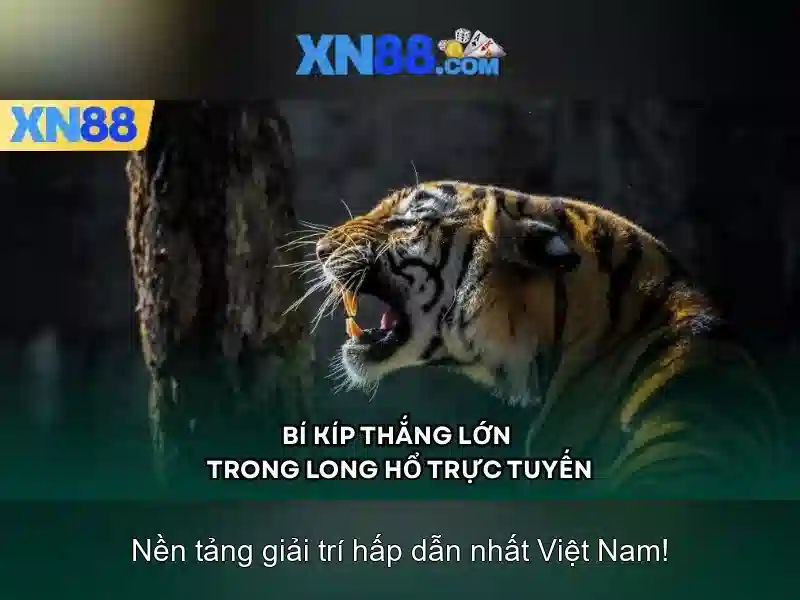 xn88 jpn: Đột phá thương hiệu và trải nghiệm trực tuyến