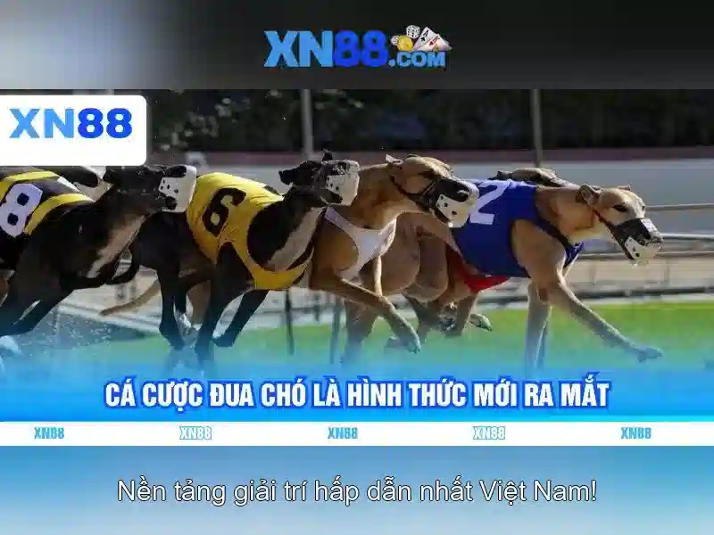 xn88: Khám phá nền tảng sòng bạc trực tuyến