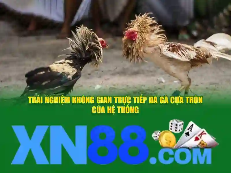 xn88: Tổng quan, trò chơi và hướng dẫn cho người chơi Việt